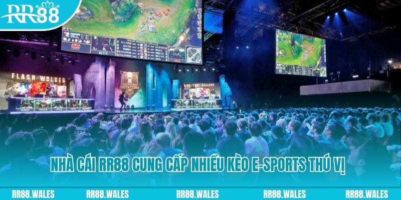 Những trò chơi cá cược E-sports nhà cái RR88 cung cấp